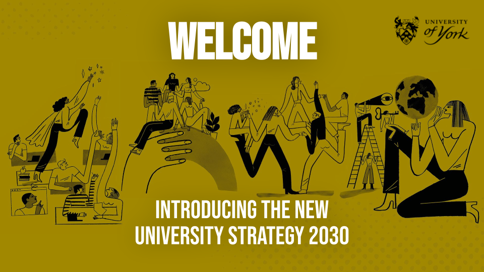 york university strategic research plan